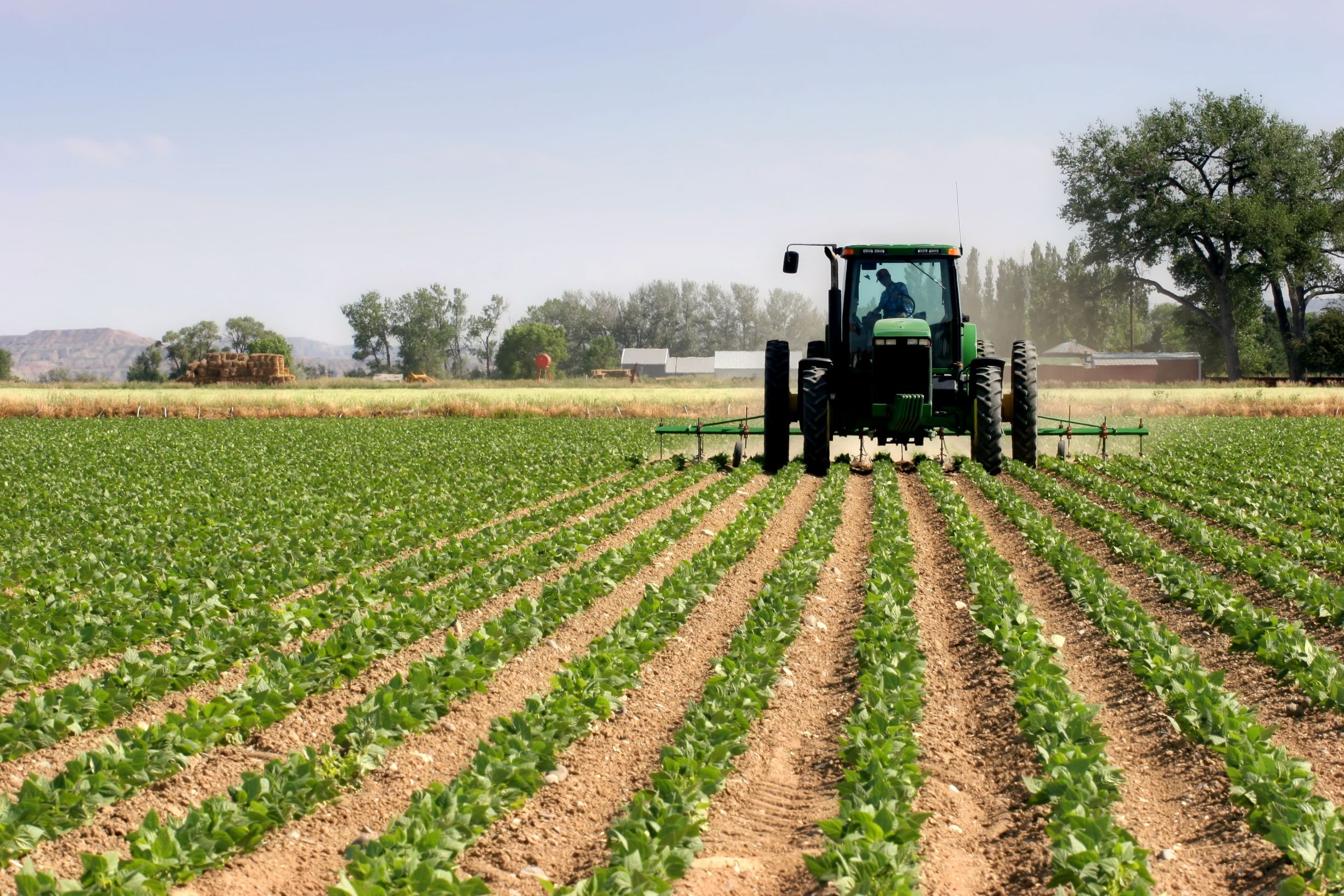 Measuring Farmland Conversion in Ontario 