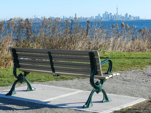 City-of-Toronto-bench-(1).jpg