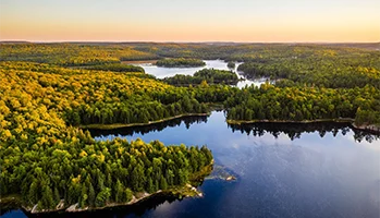 Aerial photo of a river system in fall
